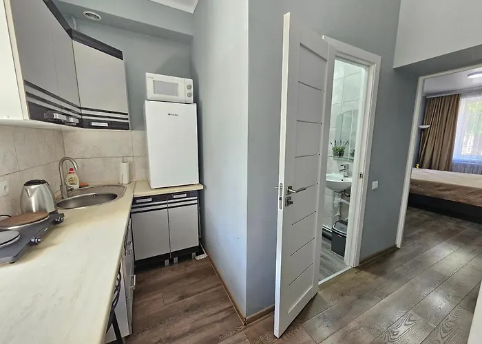 Central Location Apartment
